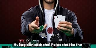 Hướng dẫn cách chơi Poker 